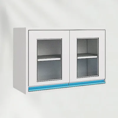 Steel Wall Cabinets for Laboratory Workstations